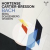 Hortense Cartier-Bresson Drei Klavierstücke, Op. 11: I. Mäßige Bach, Berg, Schoenberg, Webern