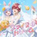 Bridal Dream