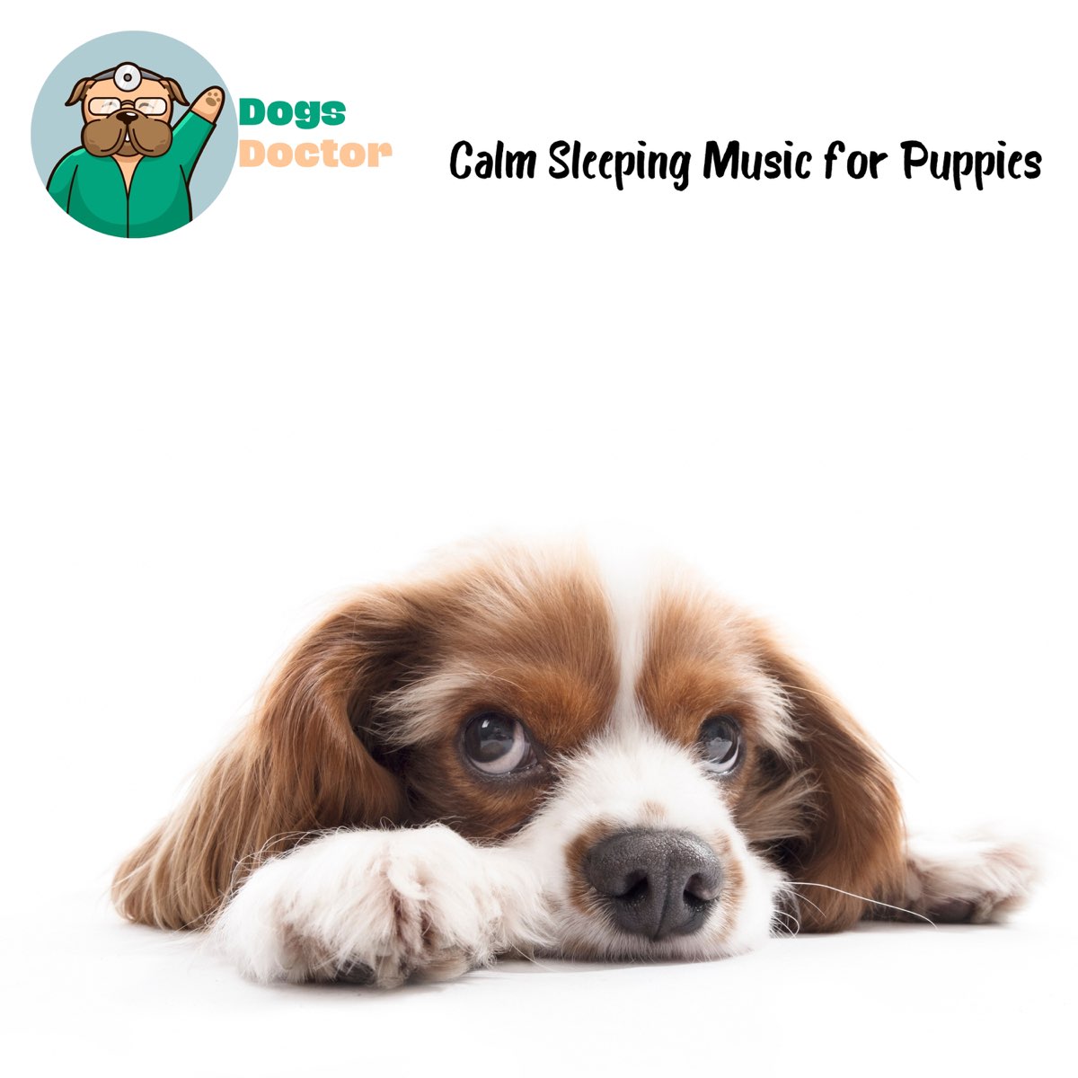 Calm Sleeping Music for Puppies by <b>Dogs</b> <b>Doctor</b> on Apple Music.