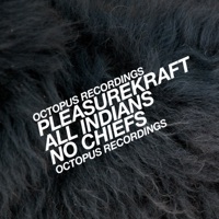 All Indians, No Chiefs - Single - Pleasurekraft