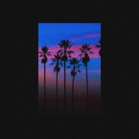 Limit (feat. Idrissi) - Single - Seina