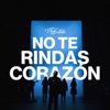 No te Rindas Corazón - Single