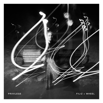 Privilege - Single