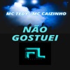 Não Gostuei - Single