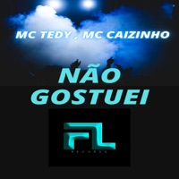 Não Gostuei - Single - Mc Tedy & MC Caizinho