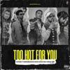 Too hot for you (feat. Nakaab X RaCo, Haris saif, Ary & Arun singh) - Single