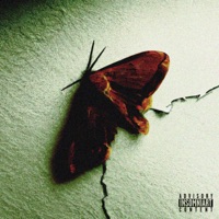 Není to ok - Single - Alone