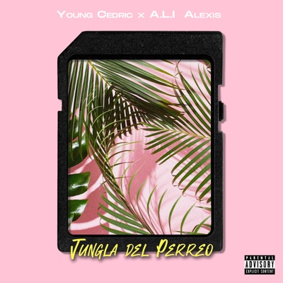 Jungla del Perreo - Single