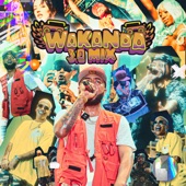 Wakanda 3.0 Mix artwork