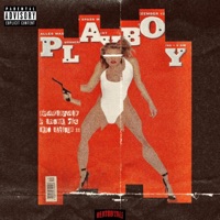 PLAYBOYZ (feat. E Shore Rig & Self Savior $$) - Single - BeatsbyAlf