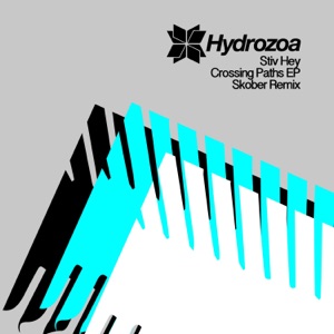 Crossing Paths - Single