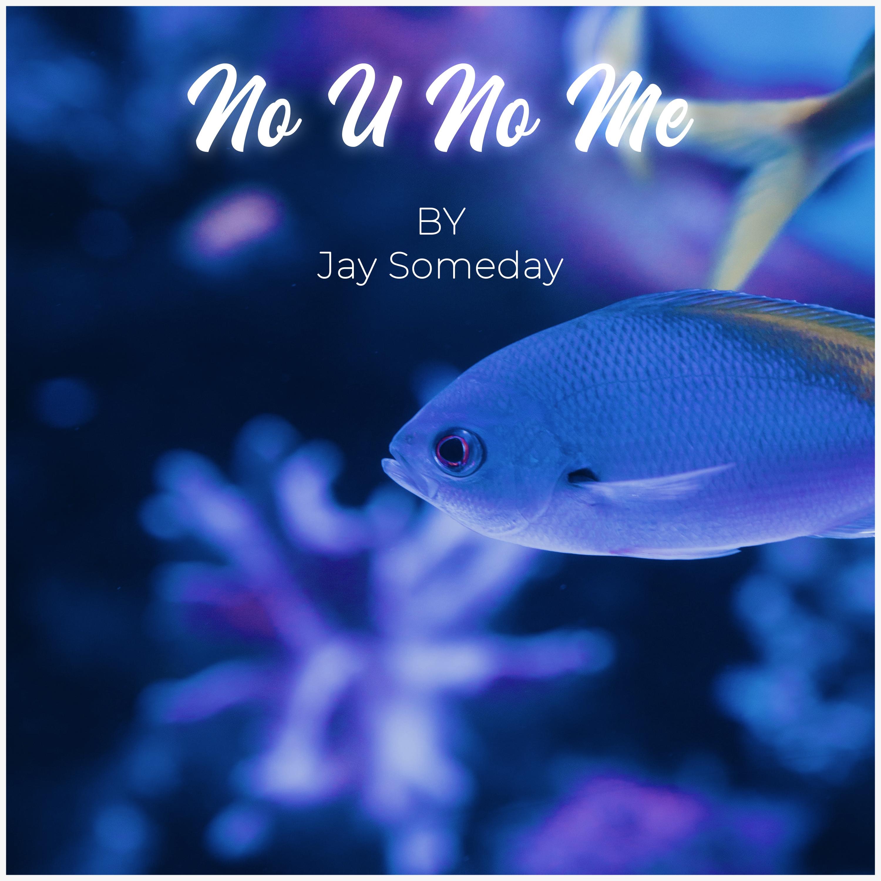 No U No Me - Single