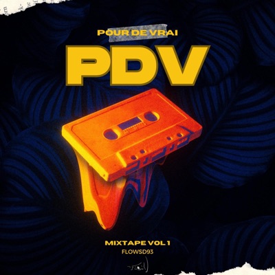 PDV (feat. FLOW SD 93, evee smile, Elly, Mirna Hesham, Neeno Beats, Lady Gaza & Sophia) - Single