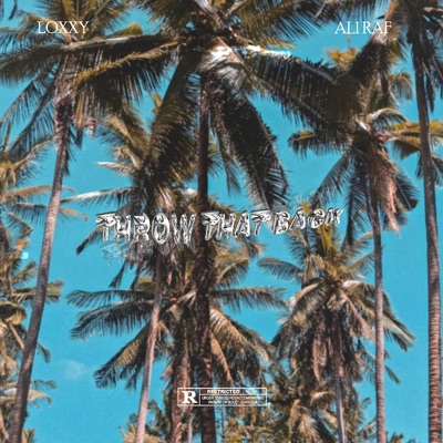 Throw That Back (feat. Ali_Raf) - Single