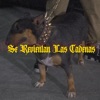 Se Revientan Las Cadenas - Single