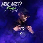 Hoe Niet? artwork