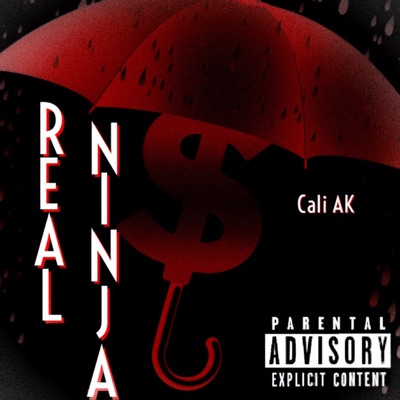 Real Ninja - Single