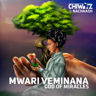 Mwari Veminana/God of Miracles - Single