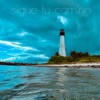 Sigue tu camino - Single