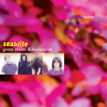 Grass Stains and Novocaine album cover