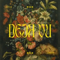 Deja Vu - Single - Grease