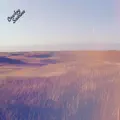 Second Rodeo