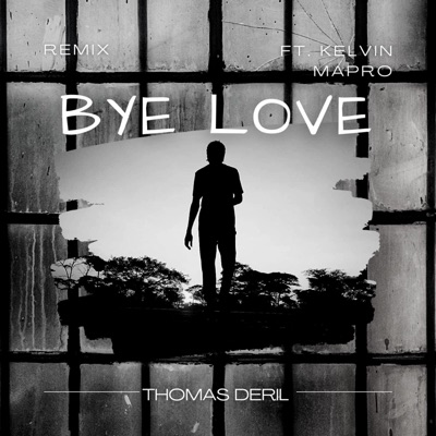Bye Love (feat. Kelvin Mapro) [Remix] - Single