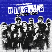 Я ПЬЯНЫЙ (Цензурная версия) - Single - VESNA305