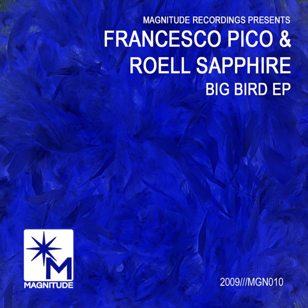 Big Bird - Single