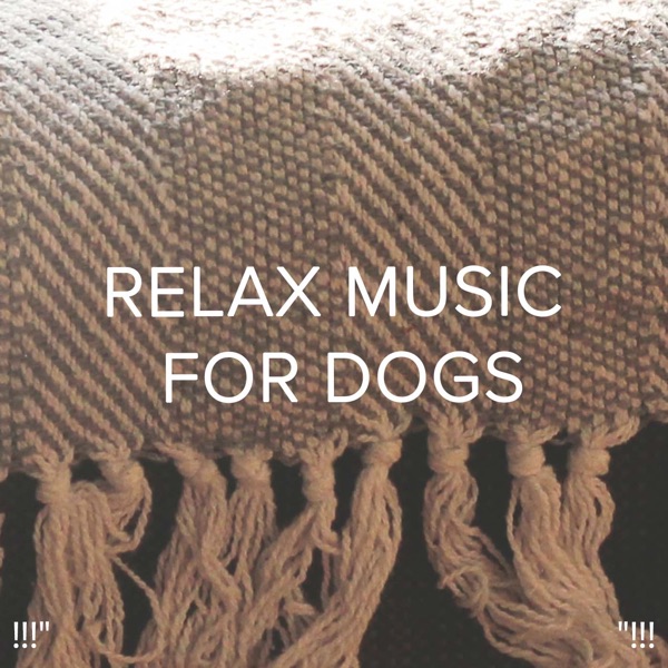 !!!" Relax Music for Dogs "!!!