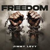 Freedom artwork