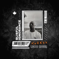 BLISSFUL IGNORANCE - Locco Musiq