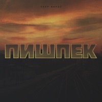 Пишпек (feat. ВИРУС) - Single - ZEEP