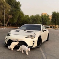 UNDERGROUND (feat. GALAXXY) - Single - $WIXZ