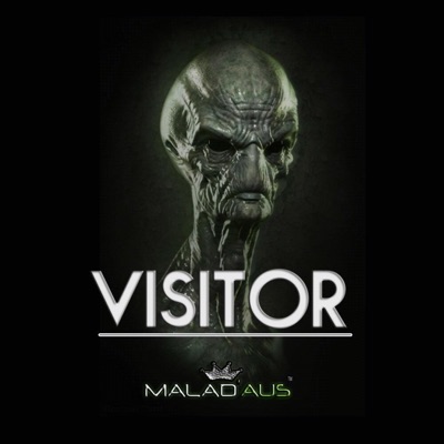 Visitor - Single