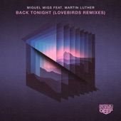 Back Tonight (feat. Martin Luther) [Lovebirds Disco Sketch Mix] artwork