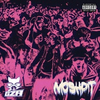 Moshpit - Single - Guterzogene Asis