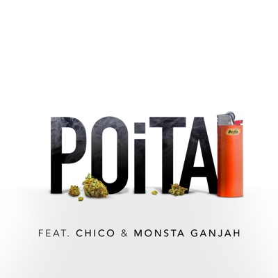 POiTA (feat. Chico & Monsta Ganjah) - Single