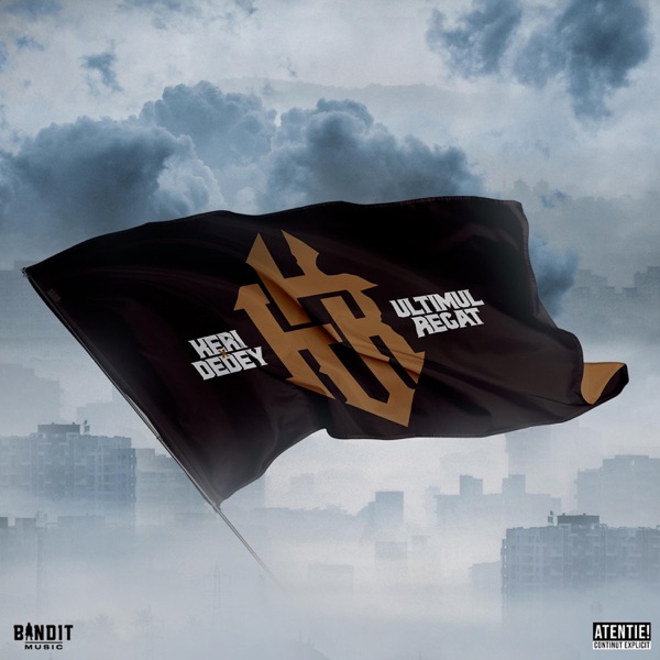 Pentru brigada mea din ceruri (feat. Nimeni Altu') - Single