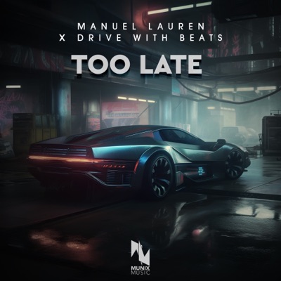 Too Late - Single