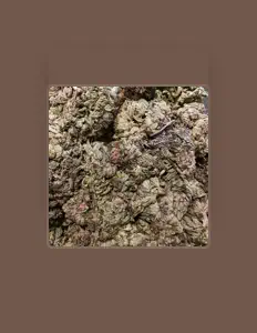 Listen to Mr.216, watch music videos, read bio, see tour dates & more!