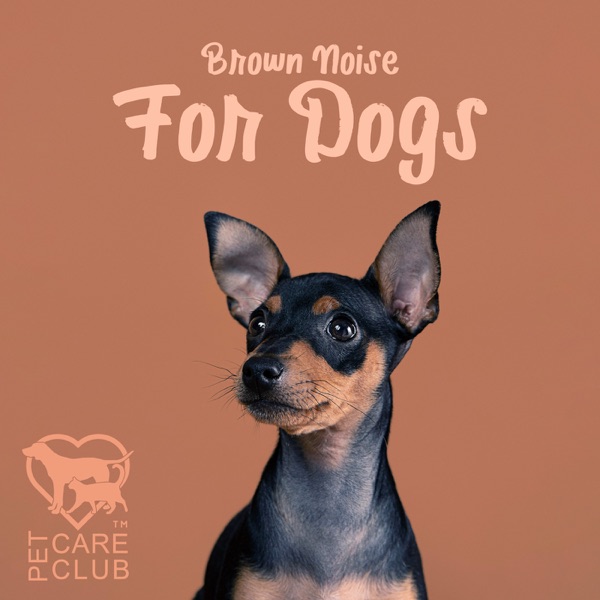 Brown Noise For Dogs