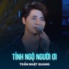 Tỉnh Ngộ Người Ơi - Single