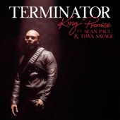 Terminator (Remix) artwork