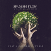 What a Wonderful World - Spanish Flow & Pastora Andrades