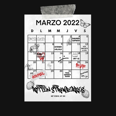 ROTTEN STRAWBERRIES / 14 de marzo (feat. Vngel) - Single