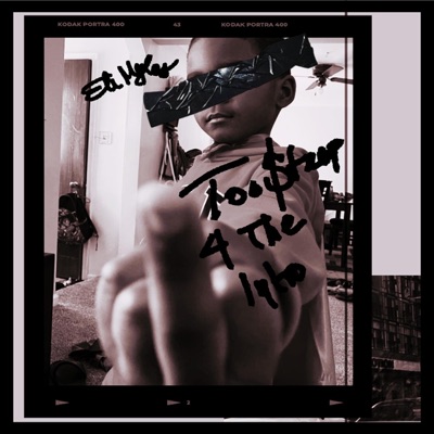 Too Steep 4 the Intro - Single