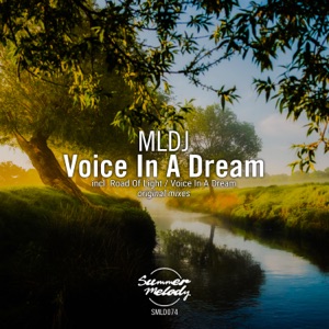Voice in a Dream - Single