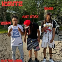 Hintz (feat. Ant Stax) - Single - Herm & Russ