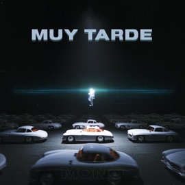 MUY TARDE MONO